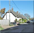 Winfrith Newburgh, thatched terrace