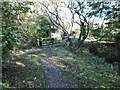 Winfrith Newburgh, footbridge