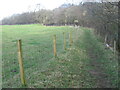 Path beside the River Nethan