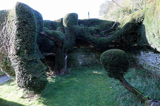 'Sculpted yew trees', St Mary's RC Church, Great Swinburne