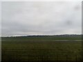 TL6665 : The Railway Field, east of Newmarket by Christopher Hilton