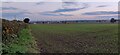 Farmland on the edge of Earl Shilton