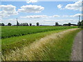 Crop field off Haven Bank