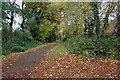 Path on Cawston Grange Estate