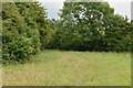 Footpath to Biddenden