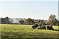 Borley Green: Hay left in a field where the grass is growing