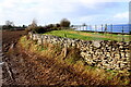 Drystone Wall near Chilcompton