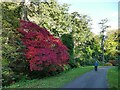 Drive to Muncaster Castle