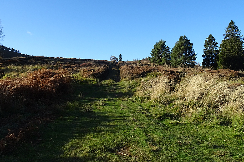 Fouchie Shank © Anne Burgess Cc-by-sa 2.0 :: Geograph Britain And Ireland