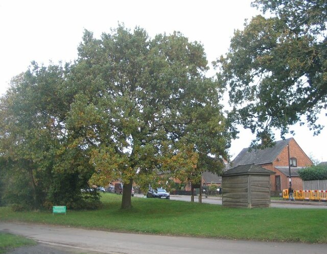 Jubilee oak, Baginton