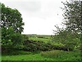 Looking south from Fell Close