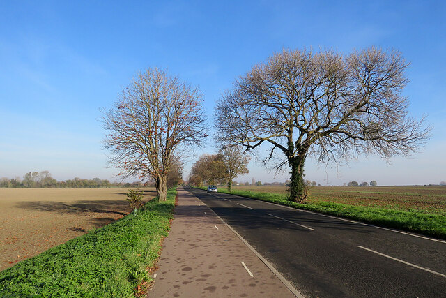 On Horningsea Road cycle track