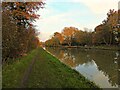 Grand Union Canal above Welsh Road Lock