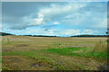 Easington : Grassy Field