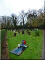 A wet, wild and windy Botley Cemetery (10)