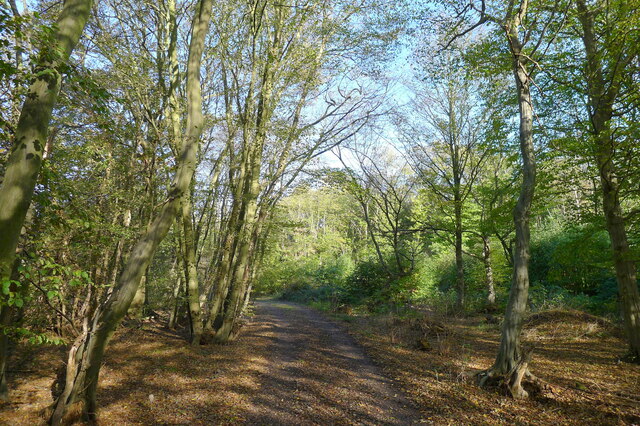 Copperas Wood SSSI © Tim Heaton :: Geograph Britain and Ireland