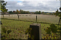 OS Trig Point on Unnamed Hill near Risley, Derbyshire