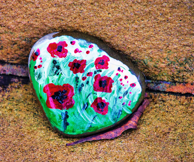 Poppies on a Pebble