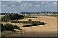 Farmland on the Deben estuary