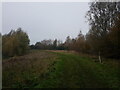 Footpath near Gill Mill