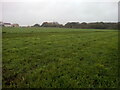 Grassland on former playing fields