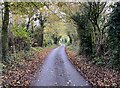 Lane near Criftins