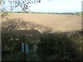 Public footpath heading east to Carlton