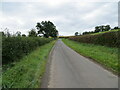 NY3845 : Hedge-lined minor road near Raughton Head by Peter Wood