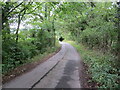 Tree-lined minor road descending towards Bell Bridge