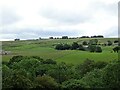 Looking over Horsleyhope