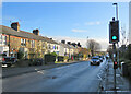 Cherry Hinton Road: morning sunlight