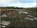 Waterlogged track, repaired with bricks