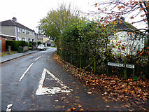 H4672 : Fallen leaves, Woodvale Avenue, Omagh by Kenneth  Allen