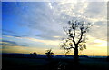 ST8279 : Evening Sky, nr Burton, Wiltshire 1998 by Ray Bird