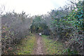 Brixham : Footpath