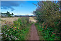 Brixham : South West Coast Path