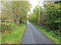 Tree-lined minor road heading towards Ardanaiseig