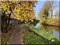 Towpath along the Coventry Canal