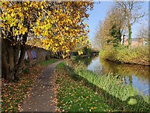 SP3380 : Towpath along the Coventry Canal by Mat Fascione