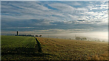 NH6454 : Fog over Munlochy Bay by Julian Paren