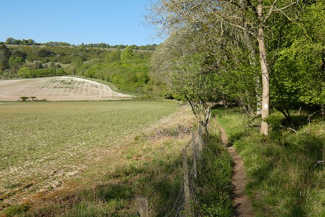 Farmland, Shirburn © Andrew Smith cc-by-sa/2.0 :: Geograph Britain and ...