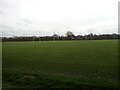 Rugby Fields