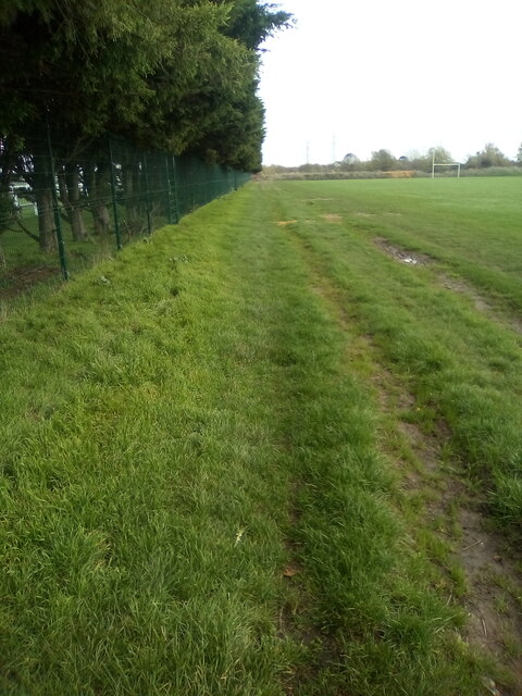 Fence and trees at Thurrock Rugby Club