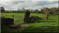 Sheep pasture near Hernaford Cross