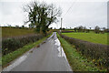 H3662 : Wet along Aghlisk Road by Kenneth  Allen