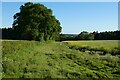 Farmland, Faccombe