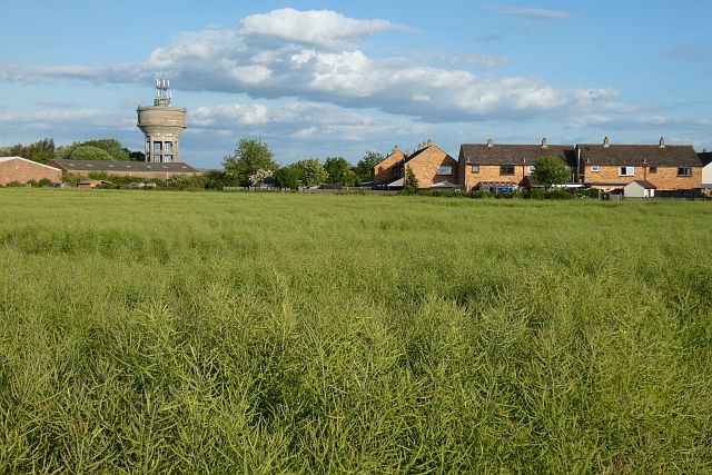 Farmland, Berinsfield
