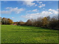 Doorstep Green Spring Meadow (1)