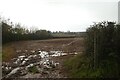 ST1523 : Start of a (muddy) footpath near East Nynehead by David Smith
