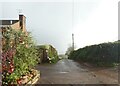 Road to the sewage works, Nynehead